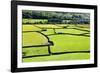 Barn and Dry Stone Walls in Meadows at Gunnerside-Mark Sunderland-Framed Photographic Print