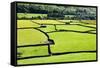 Barn and Dry Stone Walls in Meadows at Gunnerside-Mark Sunderland-Framed Stretched Canvas