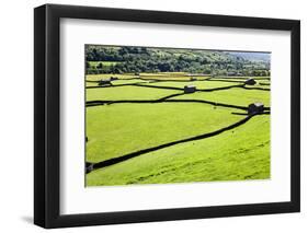 Barn and Dry Stone Walls in Meadows at Gunnerside-Mark Sunderland-Framed Photographic Print