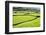 Barn and Dry Stone Walls in Meadows at Gunnerside-Mark Sunderland-Framed Photographic Print