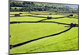 Barn and Dry Stone Walls in Meadows at Gunnerside-Mark Sunderland-Mounted Photographic Print