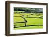 Barn and Dry Stone Walls in Meadows at Gunnerside-Mark Sunderland-Framed Photographic Print