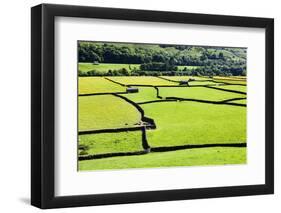 Barn and Dry Stone Walls in Meadows at Gunnerside-Mark Sunderland-Framed Photographic Print