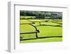 Barn and Dry Stone Walls in Meadows at Gunnerside-Mark Sunderland-Framed Photographic Print