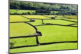 Barn and Dry Stone Walls in Meadows at Gunnerside-Mark Sunderland-Mounted Photographic Print