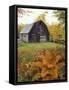 Barn and Fall Colors near Jericho Center, Vermont, USA-Darrell Gulin-Framed Stretched Canvas