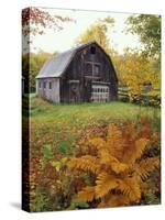 Barn and Fall Colors near Jericho Center, Vermont, USA-Darrell Gulin-Stretched Canvas