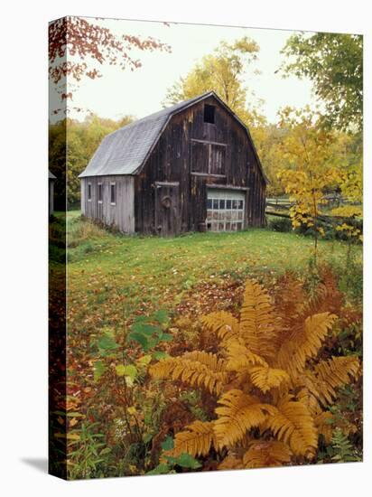 Barn and Fall Colors near Jericho Center, Vermont, USA-Darrell Gulin-Stretched Canvas