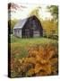 Barn and Fall Colors near Jericho Center, Vermont, USA-Darrell Gulin-Stretched Canvas