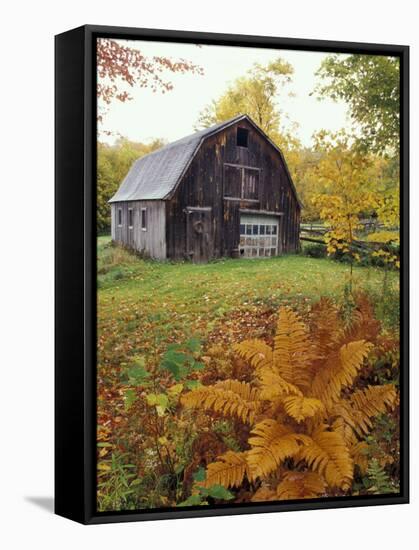 Barn and Fall Colors near Jericho Center, Vermont, USA-Darrell Gulin-Framed Stretched Canvas