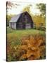 Barn and Fall Colors near Jericho Center, Vermont, USA-Darrell Gulin-Stretched Canvas