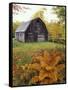 Barn and Fall Colors near Jericho Center, Vermont, USA-Darrell Gulin-Framed Stretched Canvas