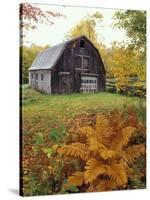 Barn and Fall Colors near Jericho Center, Vermont, USA-Darrell Gulin-Stretched Canvas