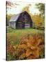 Barn and Fall Colors near Jericho Center, Vermont, USA-Darrell Gulin-Stretched Canvas