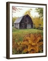 Barn and Fall Colors near Jericho Center, Vermont, USA-Darrell Gulin-Framed Premium Photographic Print