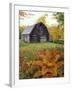 Barn and Fall Colors near Jericho Center, Vermont, USA-Darrell Gulin-Framed Premium Photographic Print