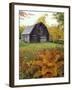 Barn and Fall Colors near Jericho Center, Vermont, USA-Darrell Gulin-Framed Premium Photographic Print