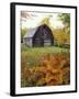 Barn and Fall Colors near Jericho Center, Vermont, USA-Darrell Gulin-Framed Premium Photographic Print