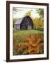 Barn and Fall Colors near Jericho Center, Vermont, USA-Darrell Gulin-Framed Premium Photographic Print