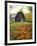 Barn and Fall Colors near Jericho Center, Vermont, USA-Darrell Gulin-Framed Premium Photographic Print
