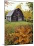 Barn and Fall Colors near Jericho Center, Vermont, USA-Darrell Gulin-Mounted Premium Photographic Print