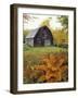 Barn and Fall Colors near Jericho Center, Vermont, USA-Darrell Gulin-Framed Photographic Print