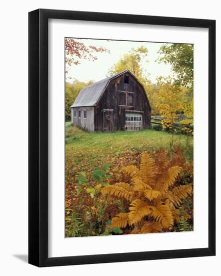 Barn and Fall Colors near Jericho Center, Vermont, USA-Darrell Gulin-Framed Photographic Print