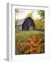 Barn and Fall Colors near Jericho Center, Vermont, USA-Darrell Gulin-Framed Photographic Print