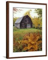 Barn and Fall Colors near Jericho Center, Vermont, USA-Darrell Gulin-Framed Photographic Print