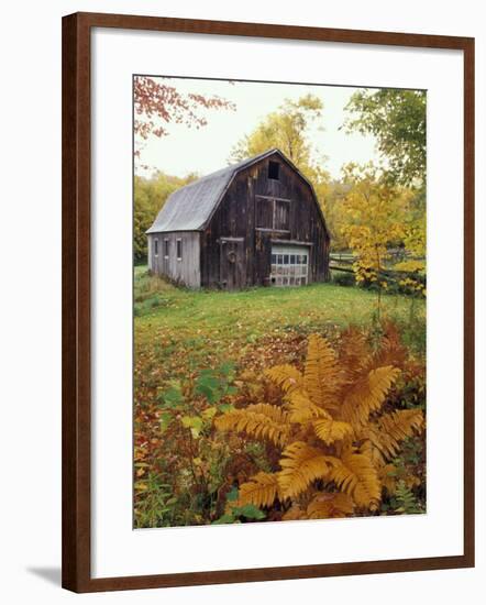 Barn and Fall Colors near Jericho Center, Vermont, USA-Darrell Gulin-Framed Photographic Print