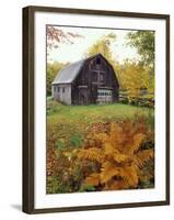 Barn and Fall Colors near Jericho Center, Vermont, USA-Darrell Gulin-Framed Photographic Print