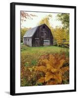 Barn and Fall Colors near Jericho Center, Vermont, USA-Darrell Gulin-Framed Photographic Print