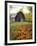 Barn and Fall Colors near Jericho Center, Vermont, USA-Darrell Gulin-Framed Photographic Print