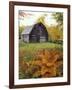 Barn and Fall Colors near Jericho Center, Vermont, USA-Darrell Gulin-Framed Photographic Print