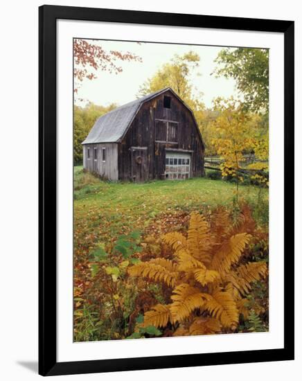 Barn and Fall Colors near Jericho Center, Vermont, USA-Darrell Gulin-Framed Photographic Print