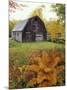 Barn and Fall Colors near Jericho Center, Vermont, USA-Darrell Gulin-Mounted Photographic Print