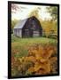 Barn and Fall Colors near Jericho Center, Vermont, USA-Darrell Gulin-Framed Photographic Print