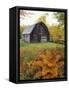 Barn and Fall Colors near Jericho Center, Vermont, USA-Darrell Gulin-Framed Stretched Canvas