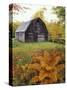 Barn and Fall Colors near Jericho Center, Vermont, USA-Darrell Gulin-Stretched Canvas