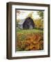 Barn and Fall Colors near Jericho Center, Vermont, USA-Darrell Gulin-Framed Premium Photographic Print