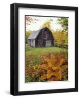 Barn and Fall Colors near Jericho Center, Vermont, USA-Darrell Gulin-Framed Premium Photographic Print