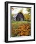 Barn and Fall Colors near Jericho Center, Vermont, USA-Darrell Gulin-Framed Premium Photographic Print