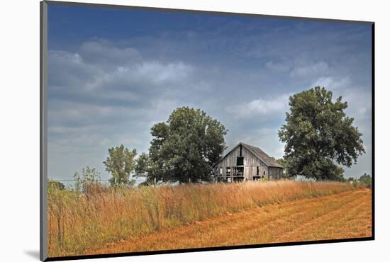 Barn and Field, Missouri, USA-Michael Scheufler-Mounted Photographic Print