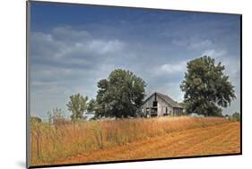 Barn and Field, Missouri, USA-Michael Scheufler-Mounted Photographic Print