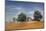 Barn and Field, Missouri, USA-Michael Scheufler-Mounted Photographic Print