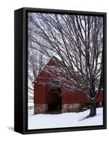 Barn and maple after snowfall, Fairfax County, Virginia, USA-Charles Gurche-Framed Stretched Canvas