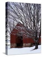 Barn and maple after snowfall, Fairfax County, Virginia, USA-Charles Gurche-Stretched Canvas
