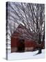 Barn and maple after snowfall, Fairfax County, Virginia, USA-Charles Gurche-Stretched Canvas