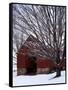 Barn and maple after snowfall, Fairfax County, Virginia, USA-Charles Gurche-Framed Stretched Canvas