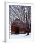 Barn and maple after snowfall, Fairfax County, Virginia, USA-Charles Gurche-Framed Premium Photographic Print